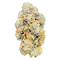 Canal St. - Confidential Green