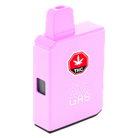 (GAS) - Cherry Boba Live Action All In One Box