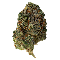 The Loud Plug - Waffle Cone