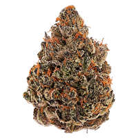 Bud Lafleur - Hollywood