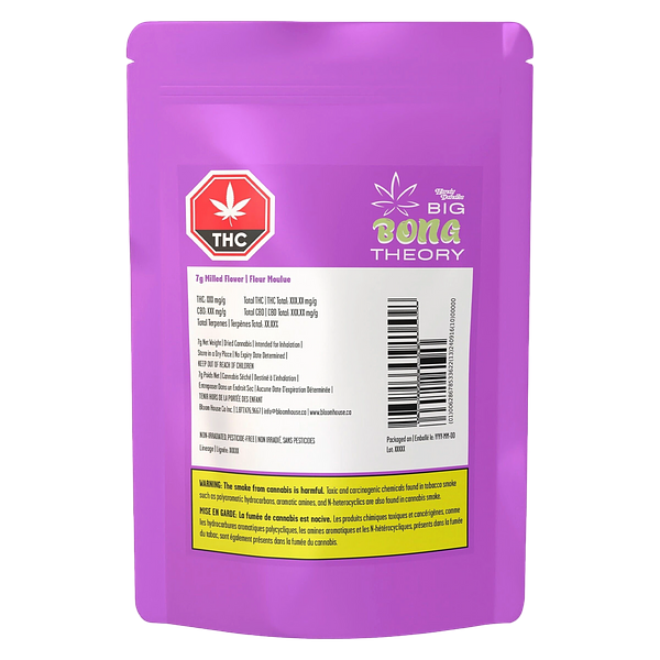 Handy Dandies - Big Bong Theory