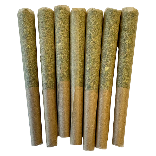 Noodz - Profile - Gas Pre-Roll