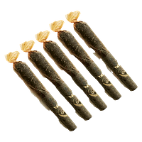 Caviar Gold - Baby Cavis - Blue Glue Infused Pre-Roll