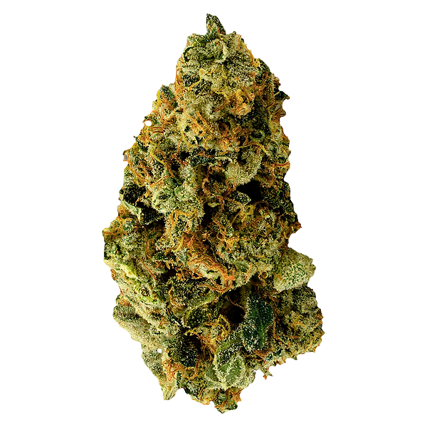 TERPi - Tropical Bliss