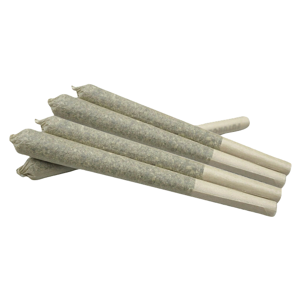 Plush - Hawaiian Haze Premium Joints