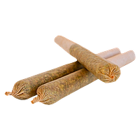 TADU - Governmint Oasis2 Pre Roll