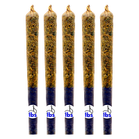 Bud Lafleur - Cryptic Chronic 5 Pacc Pre Roll