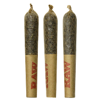 Dab Bods - Guava Dawg Disti Joints