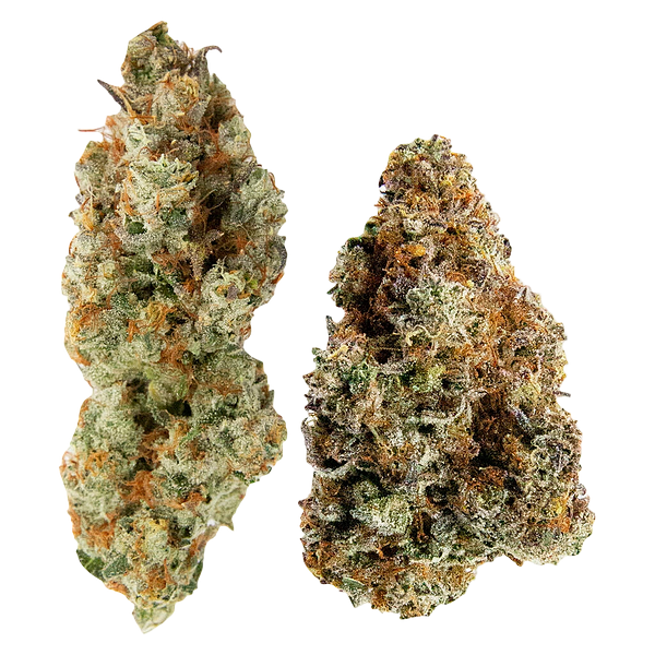 Northern Canna X Ministry Of Sativa - Yin Yang