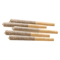 Woody Nelson - 33 Splitter Craft Pre Roll