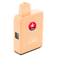 (GAS) - Mango Live Action All in One Box Cartridge