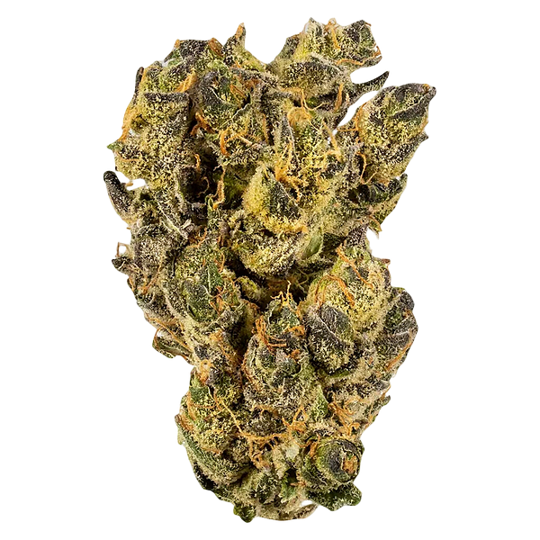 WINK - Citrus Tsunami