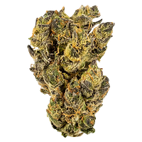 WINK - Citrus Tsunami