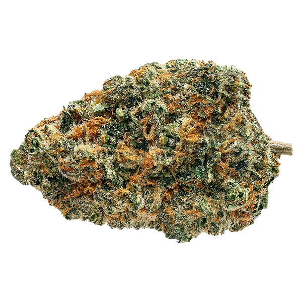 Soar - Biscotti Squeeze