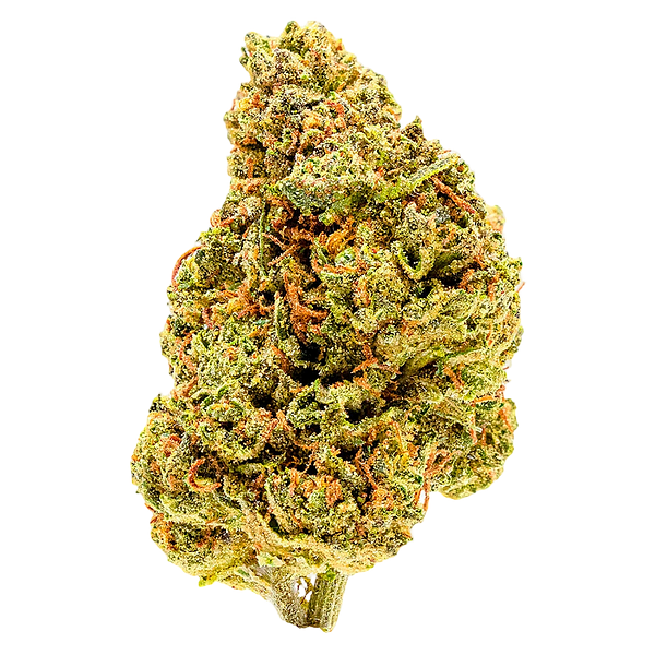 Palmetto - Goldberry