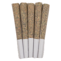 West Coast Gas - Heavy Hitters Pre Roll