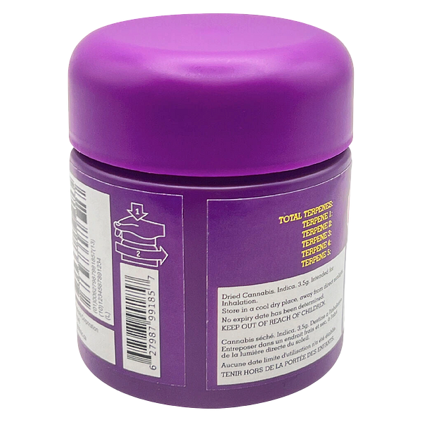 HighXotic - Royal Dive #5: Purple Zombie