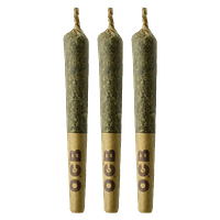 Coterie - Pink Rose #4 Pre-Roll