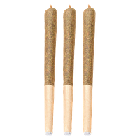 Bud Lafleur - Booberry Cookies Pre-Roll