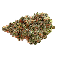 Pure Sunfarms - Neon Lambo