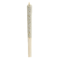 1964 - Comatose Resin Infused Pre Roll