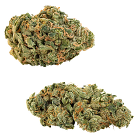 Big Bag O' Buds - Comboz: Ultra Sour + Tropical Cookies