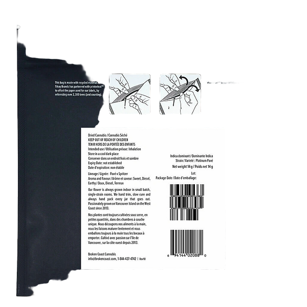 Broken Coast - Platinum Pave