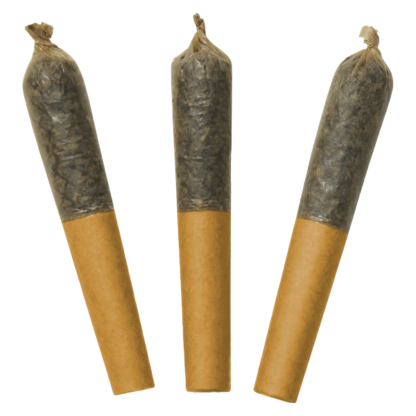 Dab Bods - Hawaiian Plushers 60's+ Dbl Infused Pre Roll