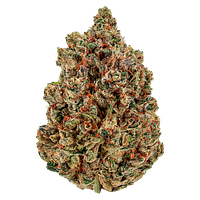 Cheers Cannabis - Sugar Daddy