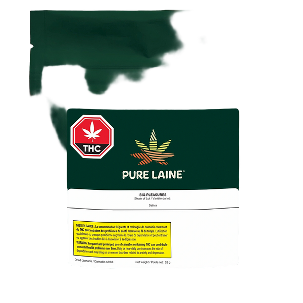 Pure Laine - Big Pleasures Sativa