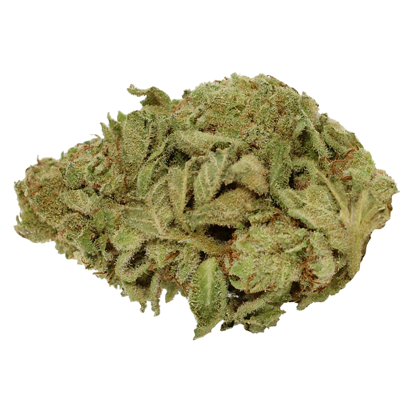 Pure Laine - Big Pleasures Sativa