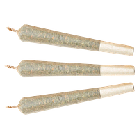 XPLOR Level X - Watermelon G-Bear Distillate Infused Pre-Roll