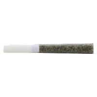 Pure Laine - Smoothies Carbon Tip Pre-Roll (Sativa)