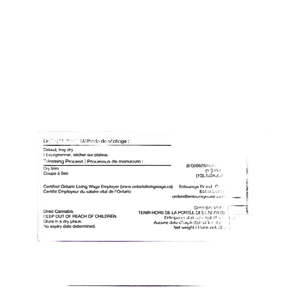 Dime Bag - Kush Dreams