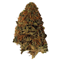 Dime Bag - Kush Dreams