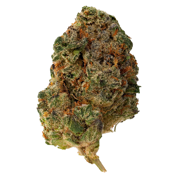 The Loud Plug - Purple Rain