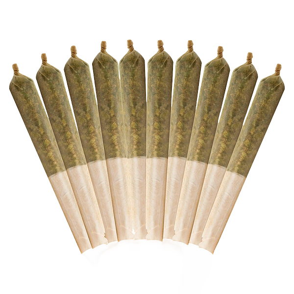 Buddy Blooms - Ethos Glue Pre-Roll