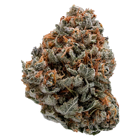 Top Leaf - Black Domina