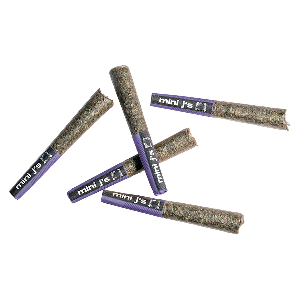 Violet Tourist - Day & Night Jumbo Pack Pre-Roll