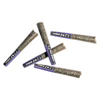 Violet Tourist - Day & Night Jumbo Pack Pre-Roll