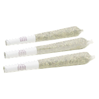 Daku - Gelato #4 Pre-Rolls