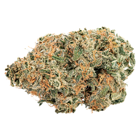 Big Bag O' Buds - Purple Cherry Punch