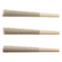 Skosha - Purple Caviar Pre Roll