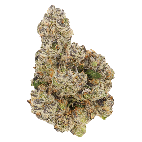 Buzz'd - Honeycomb Haze