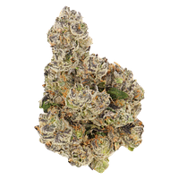 Buzz'd - Honeycomb Haze