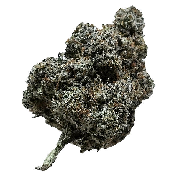 Your Dealer - Not The GovernMINT