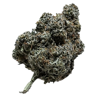 Your Dealer - Not The GovernMINT