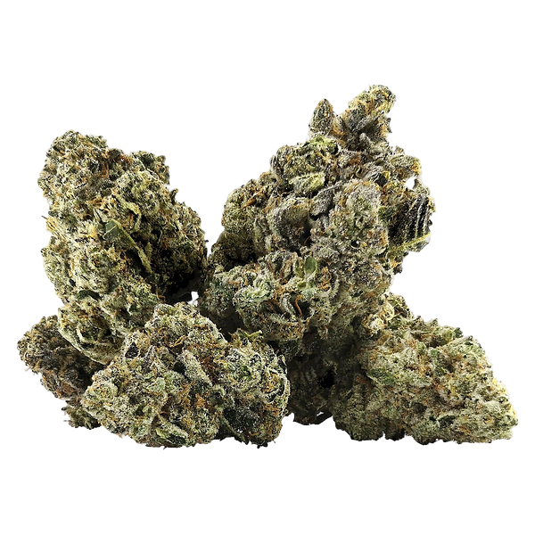 DEALR - Galactica Og