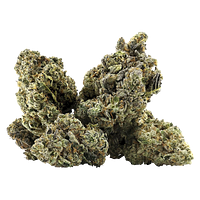 DEALR - Galactica Og