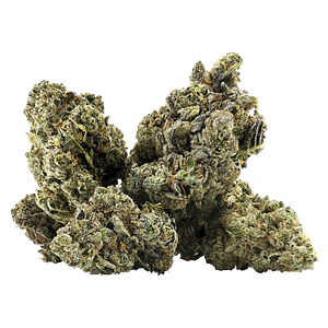 DEALR - Galactica Og